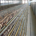 Poultry Farm Layer Chicken Cage For Philippines